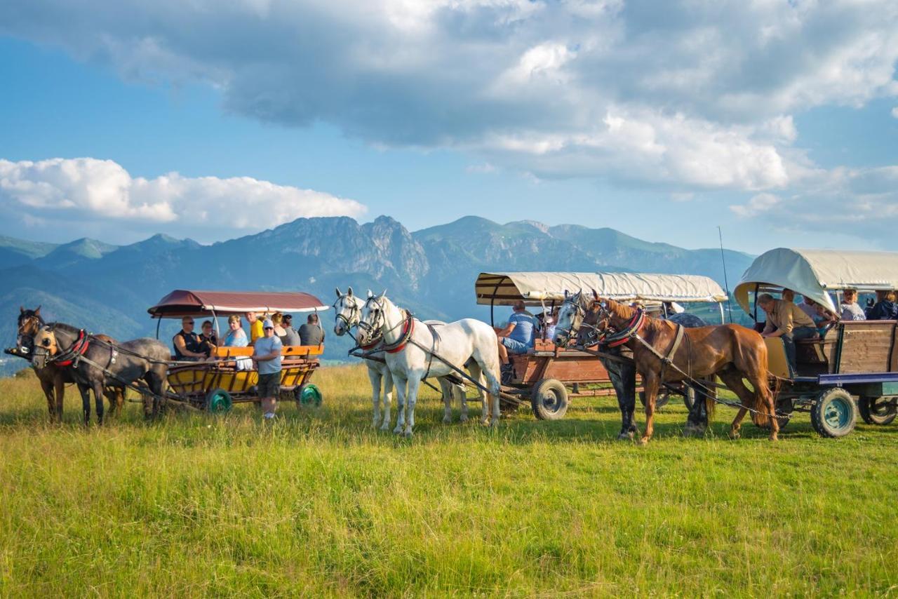 Willa U Perelki Zakopane Kültér fotó
