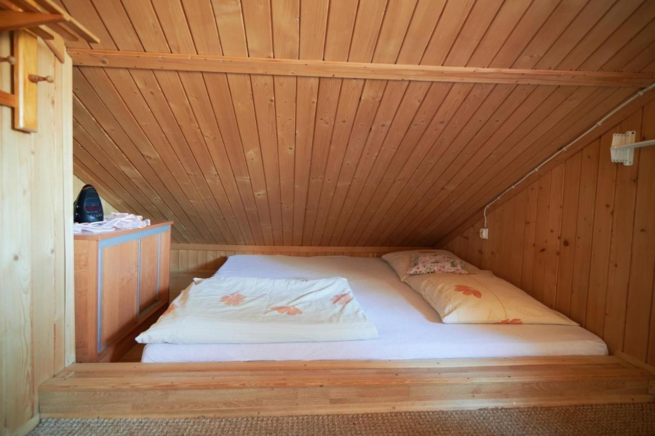 Willa U Perelki Zakopane Kültér fotó